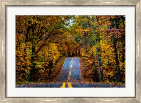 Framed Woodland Road I Print