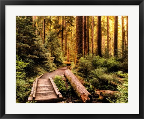 Framed Nature Hiking Trail Print