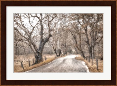 Framed Late Afternoon Walk Print