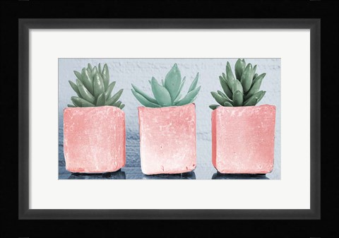 Framed Pink Potted Succulents Print
