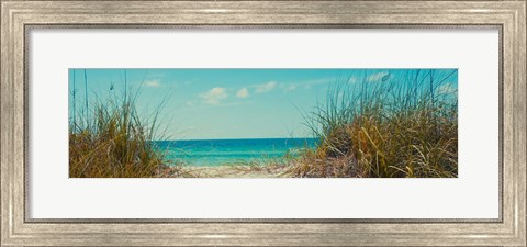 Framed Perfect Day I Print