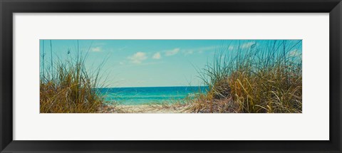 Framed Perfect Day I Print