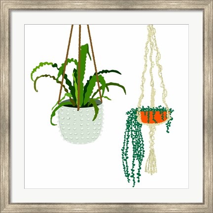 Framed Hanging Plant Duo Print