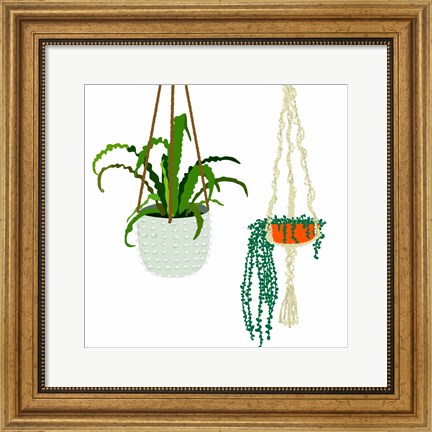 Framed Hanging Plant Duo Print