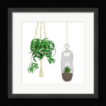 Framed Hanging Plant Set II Print