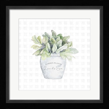 Framed Garden Plants III Print