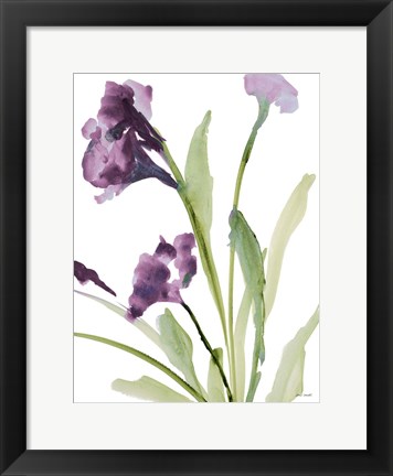 Framed Purple Belles I Print