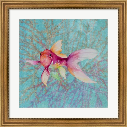 Framed Fish On Coral II Print
