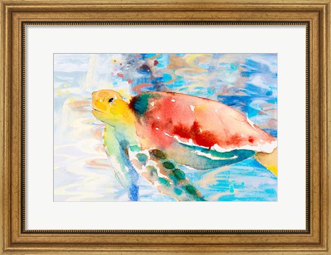 Framed Turtle Passing Trhough Print