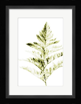 Framed Single Branch I Print