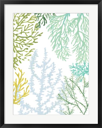 Framed Budding Vertical Coral II Print