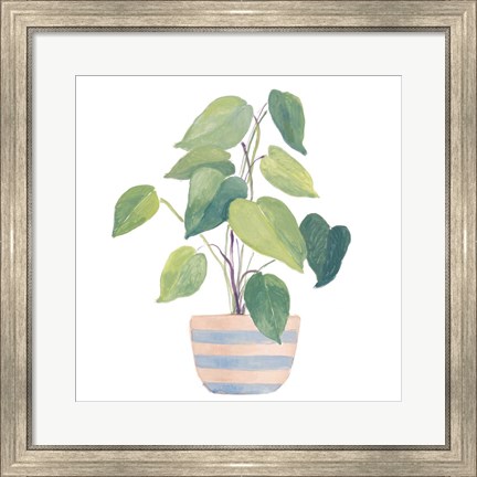 Framed Mother-In-Law Plant In Striped Pot Print