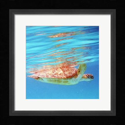 Framed Underwater Depths I Print