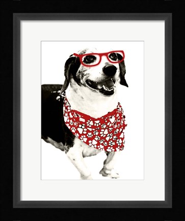 Framed Cool Fella Print