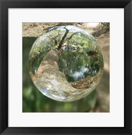 Framed Nature Droplets Print