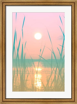 Framed Fresh Sunset Views Print