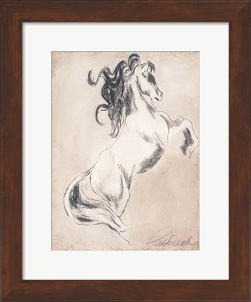 Framed Majestic Horse Print