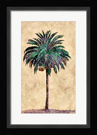 Framed Coconut Tribal Palm I Print