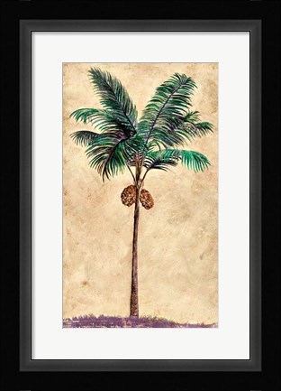 Framed Coconut Tribal Palm II Print