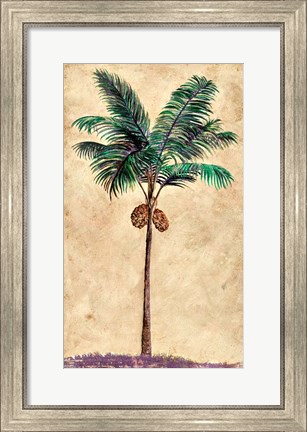 Framed Coconut Tribal Palm II Print