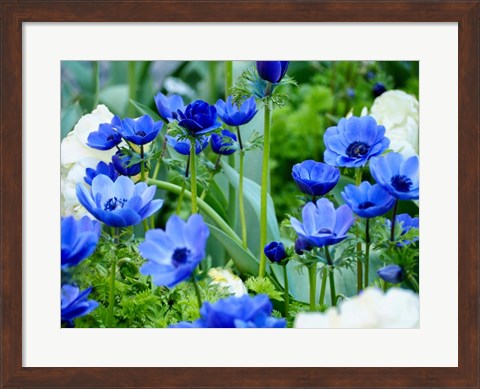 Framed Vibrant Blue Hues Print