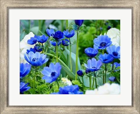 Framed Vibrant Blue Hues Print