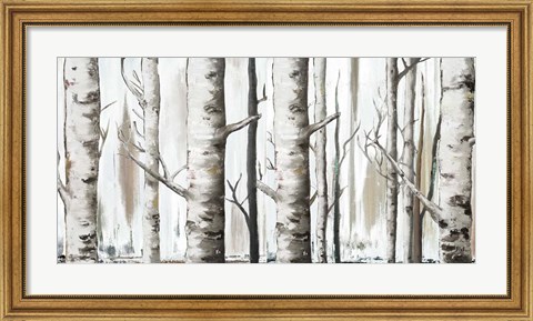 Framed White Birch Forest Print