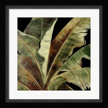 Framed Uraba Palm on Black I Print