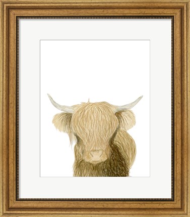 Framed Highland Cattle Print