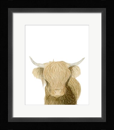 Framed Highland Cattle Print