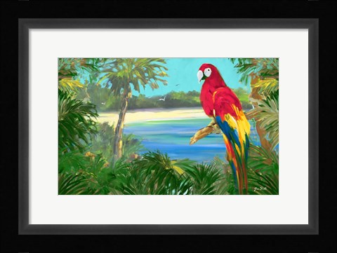 Framed Parrot By The Ocean Print