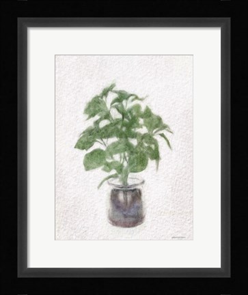 Framed Basil Jar Print