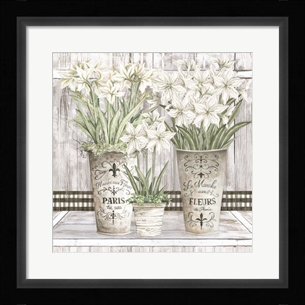 Framed Amaryllis Multi Pots Print