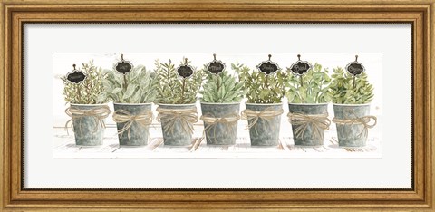 Framed Herbs in a Row Print