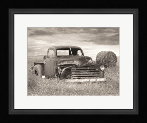 Framed Rustic Charm I Print