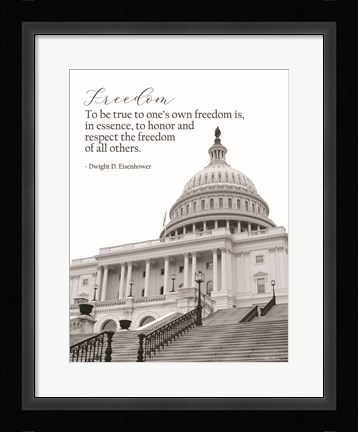 Framed Freedom Print