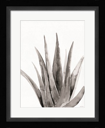 Framed Organic Botanical II Print