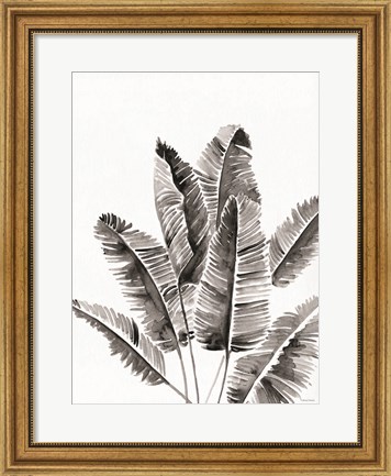 Framed Organic Botanical III Print