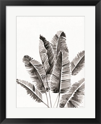 Framed Organic Botanical III Print