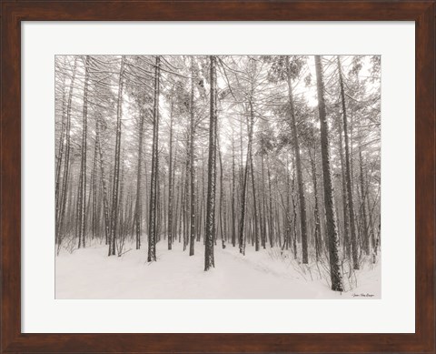 Framed Let It Snow Forest Print