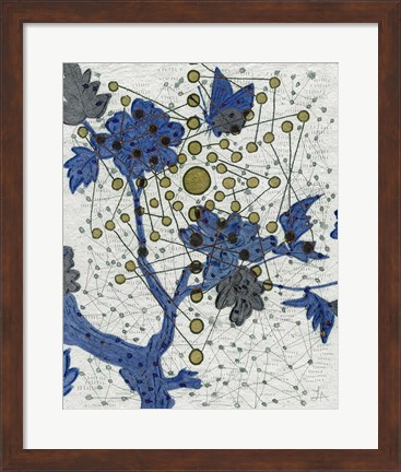 Framed Chakra Web with Butterfly Print