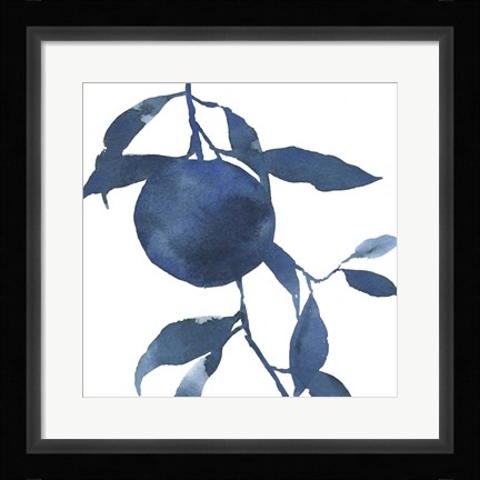 Framed Indigo Oranges II Print
