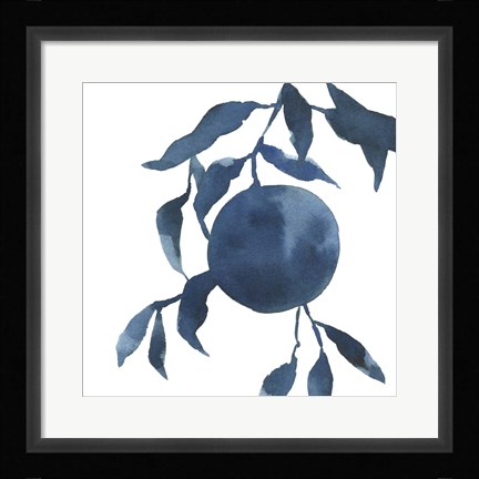 Framed Indigo Oranges IV Print