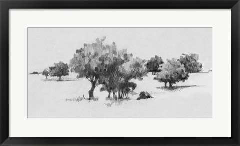 Framed Treeline Sketch II Print