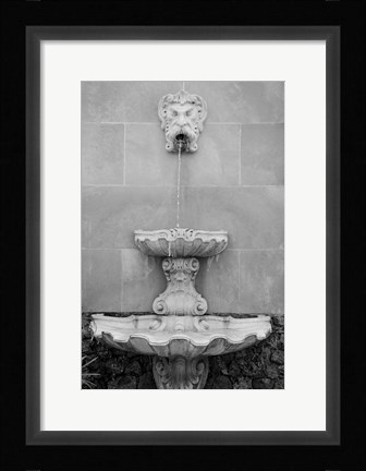 Framed Black &amp; White Fountains I Print