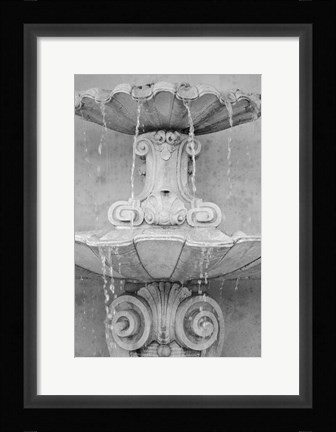 Framed Black &amp; White Fountains II Print
