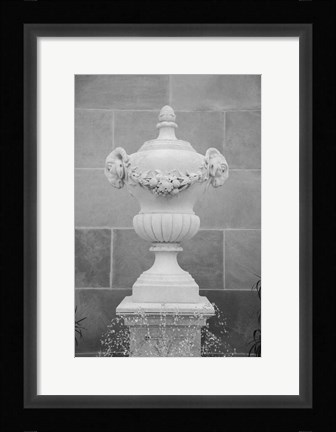 Framed Black &amp; White Fountains III Print