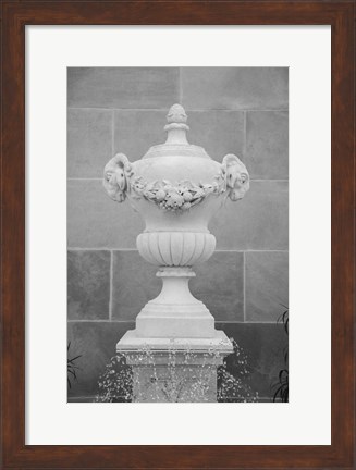 Framed Black &amp; White Fountains III Print