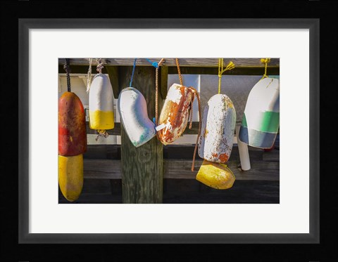 Framed Coastal Trappings III Print
