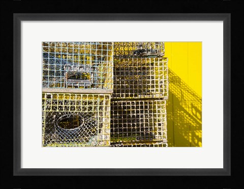 Framed Coastal Trappings IV Print